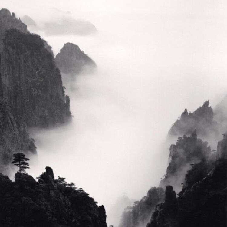 吉田俊司 - 少儿动画片免费在线观看 - 云端观看